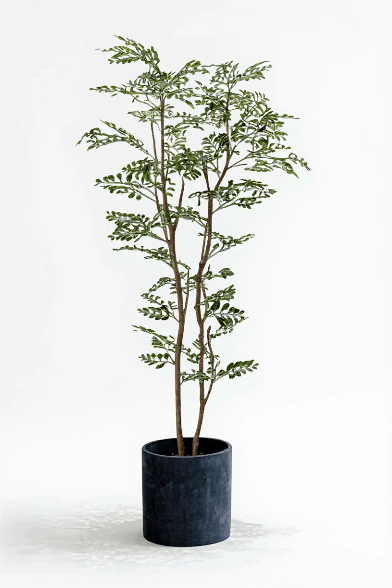 Banyan Tree - Real-Trunk Artificial - Image 16
