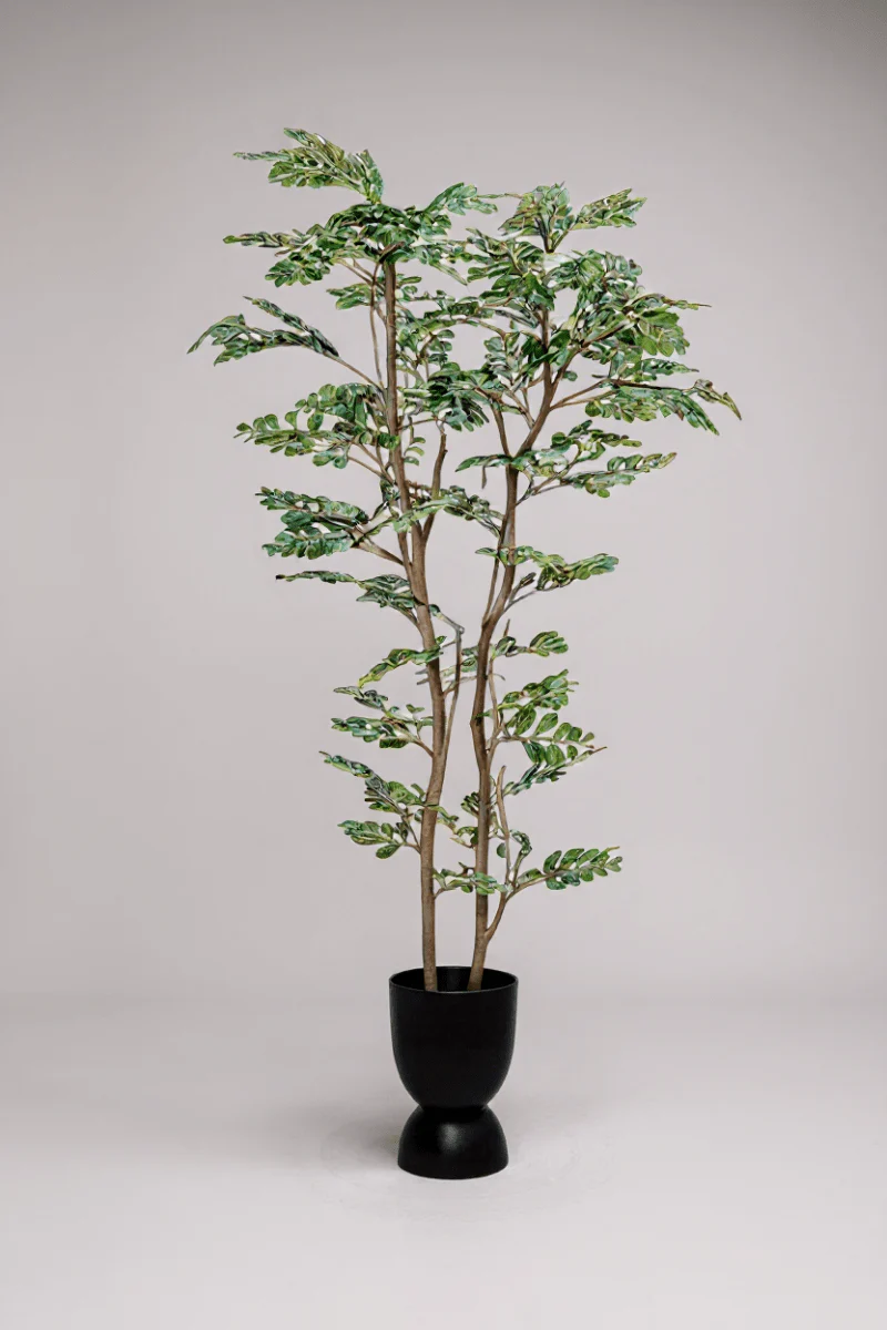 Banyan Tree - Real-Trunk Artificial - Image 17