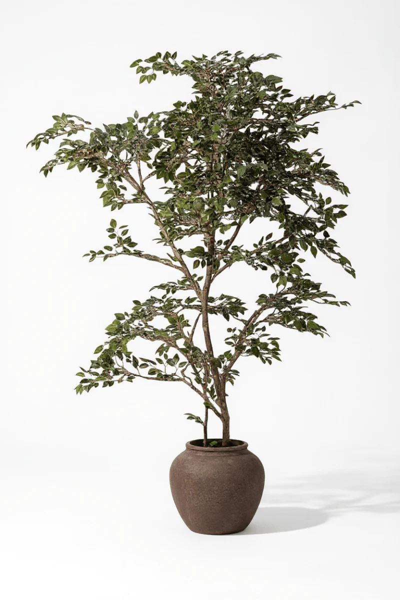 Banyan Tree - Real-Trunk Artificial - Image 19