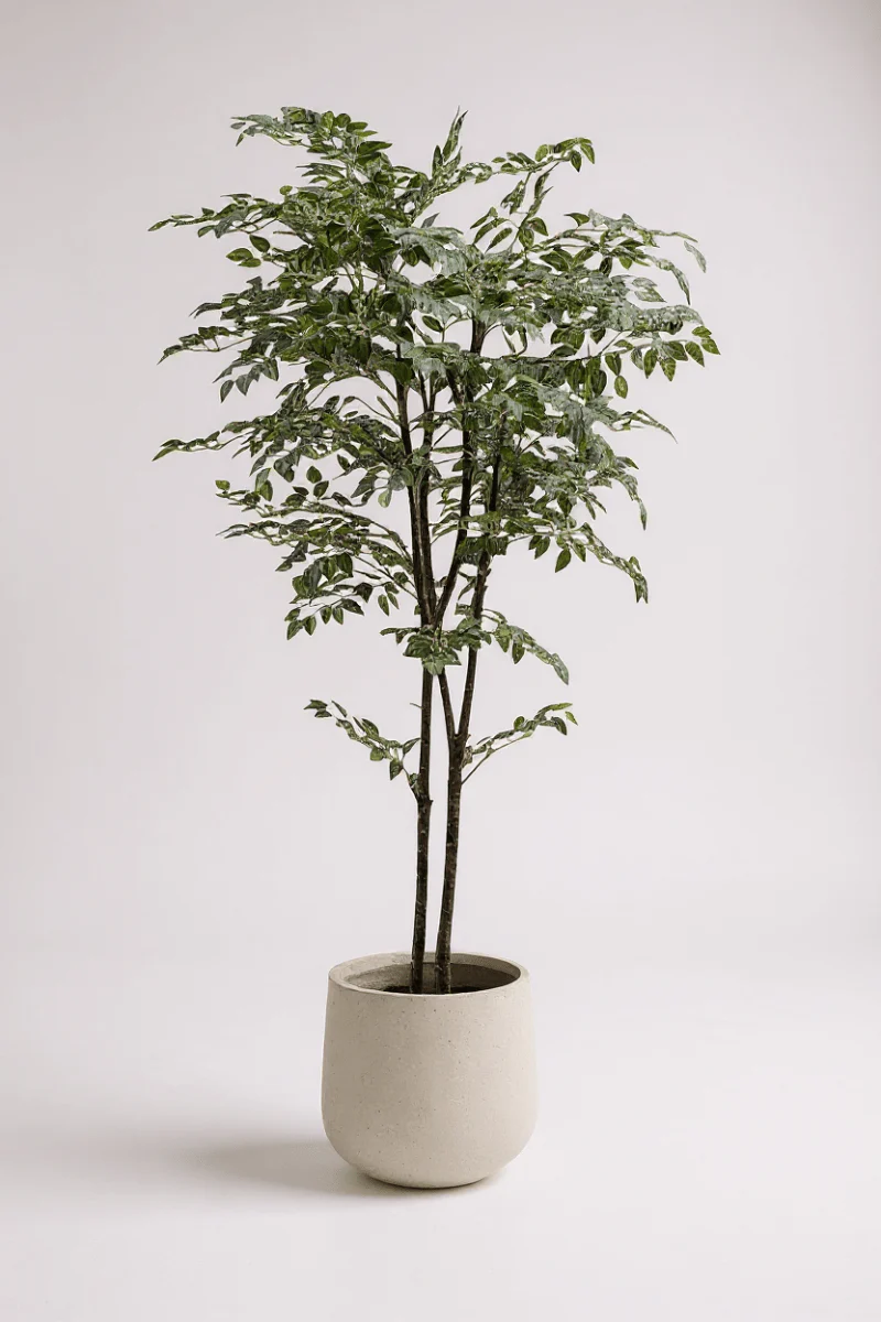 Banyan Tree - Real-Trunk Artificial - Image 22