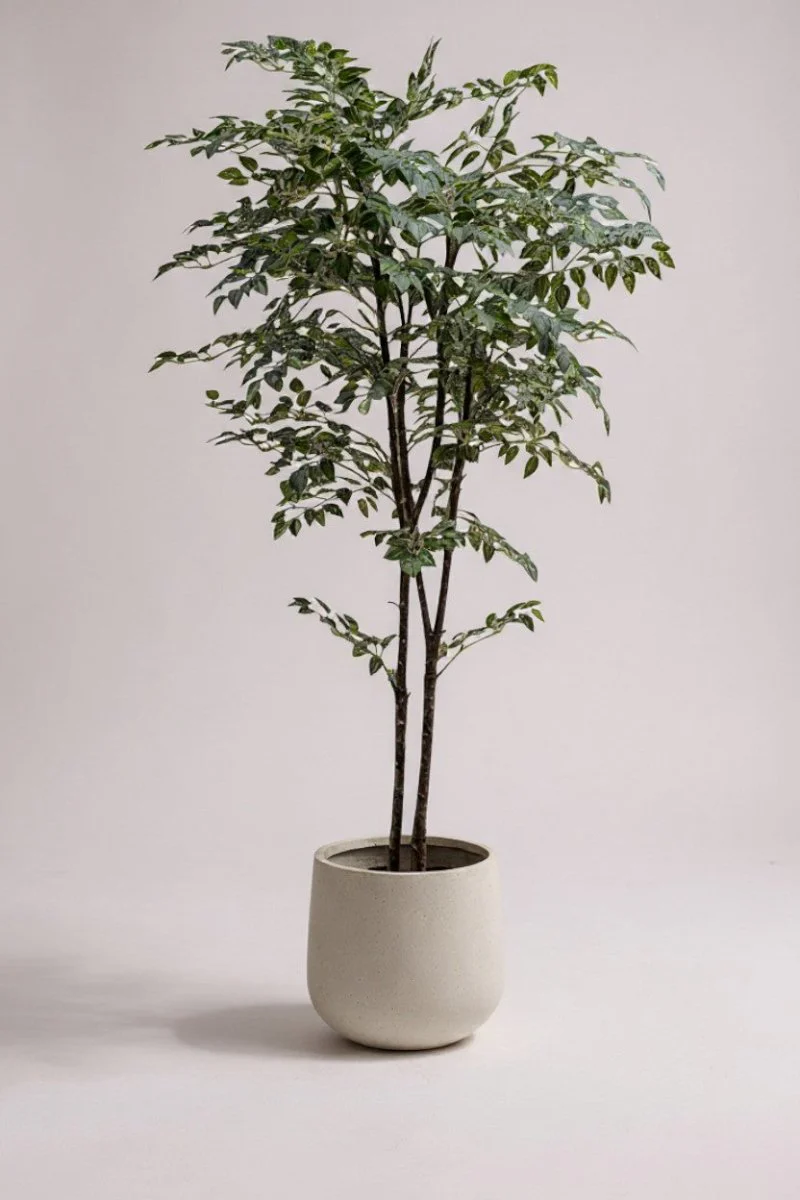 Banyan Tree - Real-Trunk Artificial - Image 23
