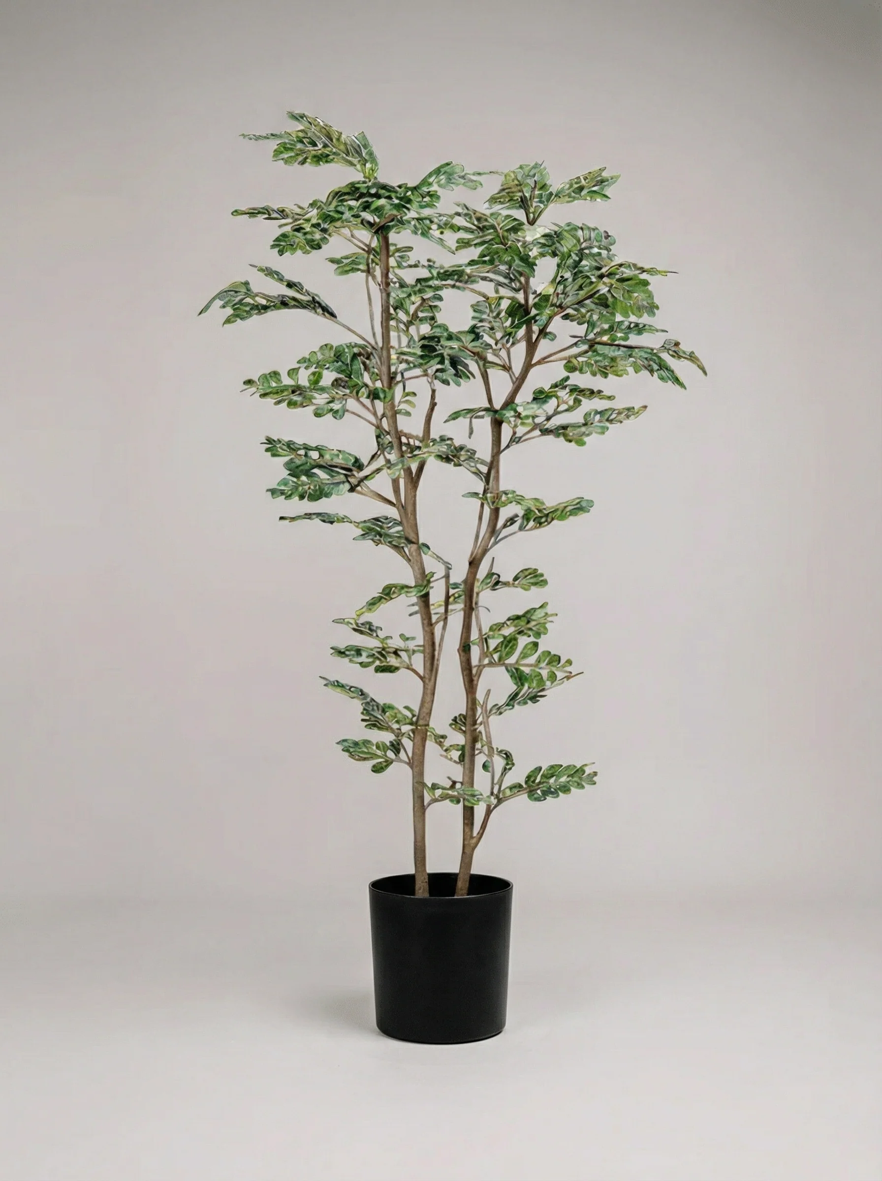 Banyan Tree - Real-Trunk Artificial - Image 30