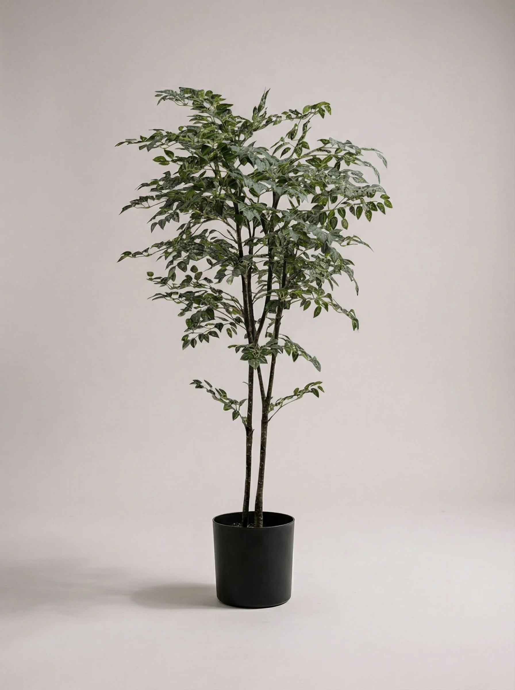 Banyan Tree - Real-Trunk Artificial - Image 31
