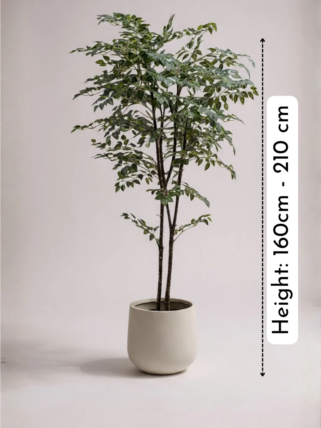Banyan Tree - Real-Trunk Artificial - Image 5