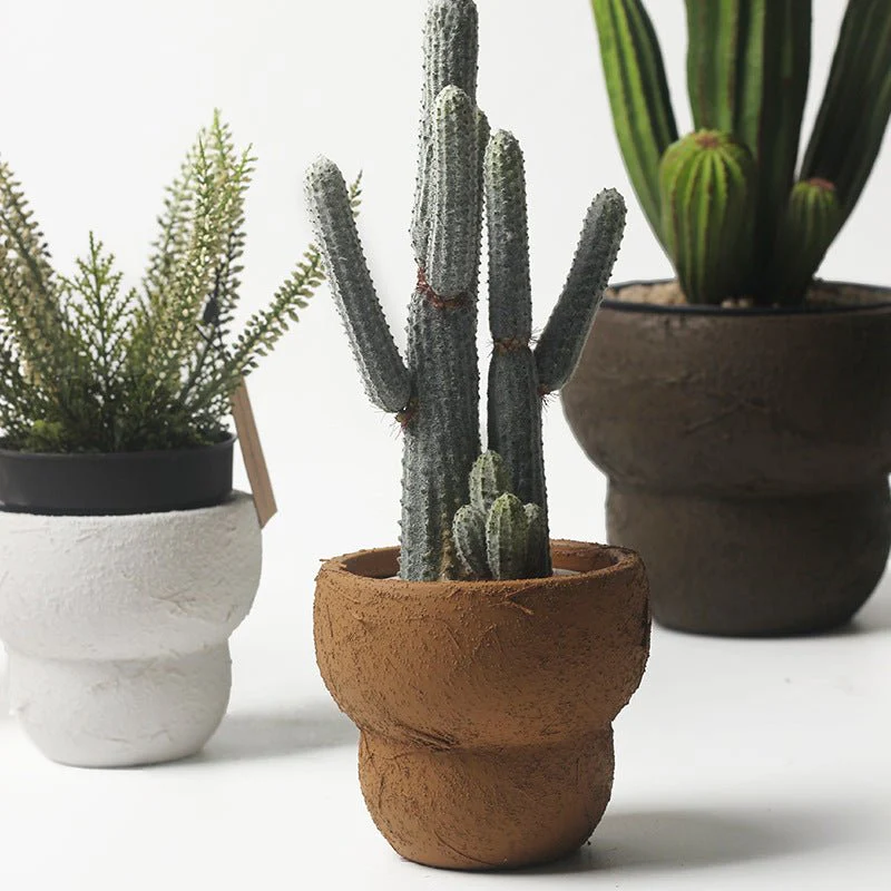 Belly Pot - XS - Image 4