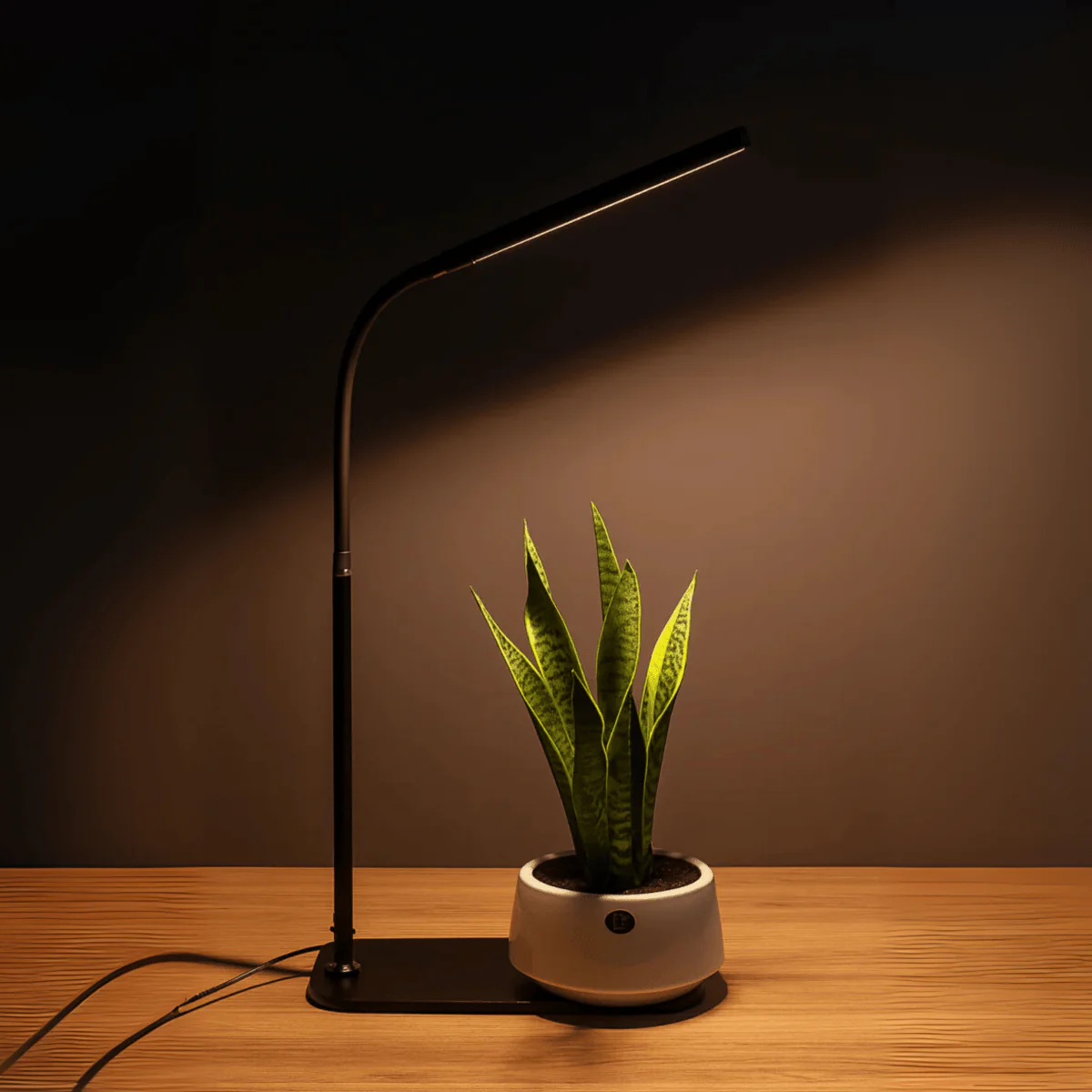 BLOOM Table Growlights - Image 8