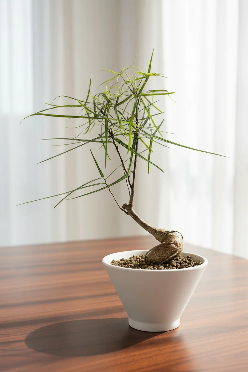 WEEKLY PLANT SALE