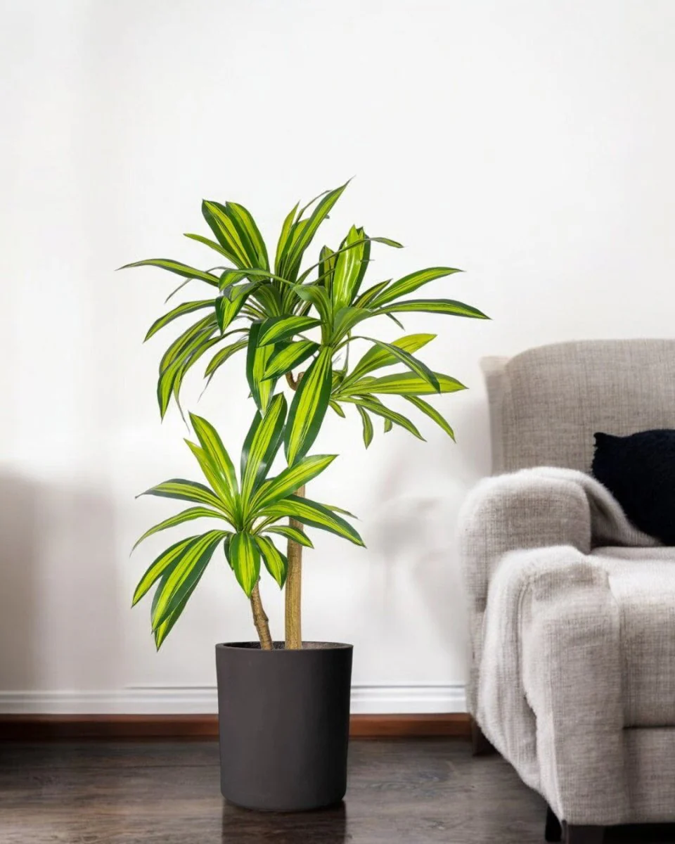 Brazil Iron Tree (Life-life Artificial) - Image 2