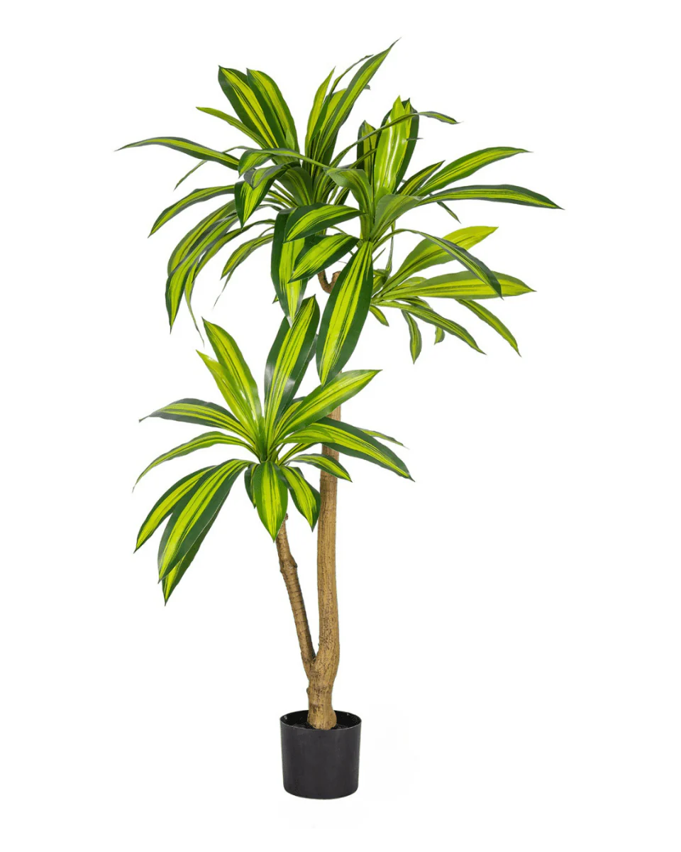 Brazil Iron Tree (Life-life Artificial) - Image 3