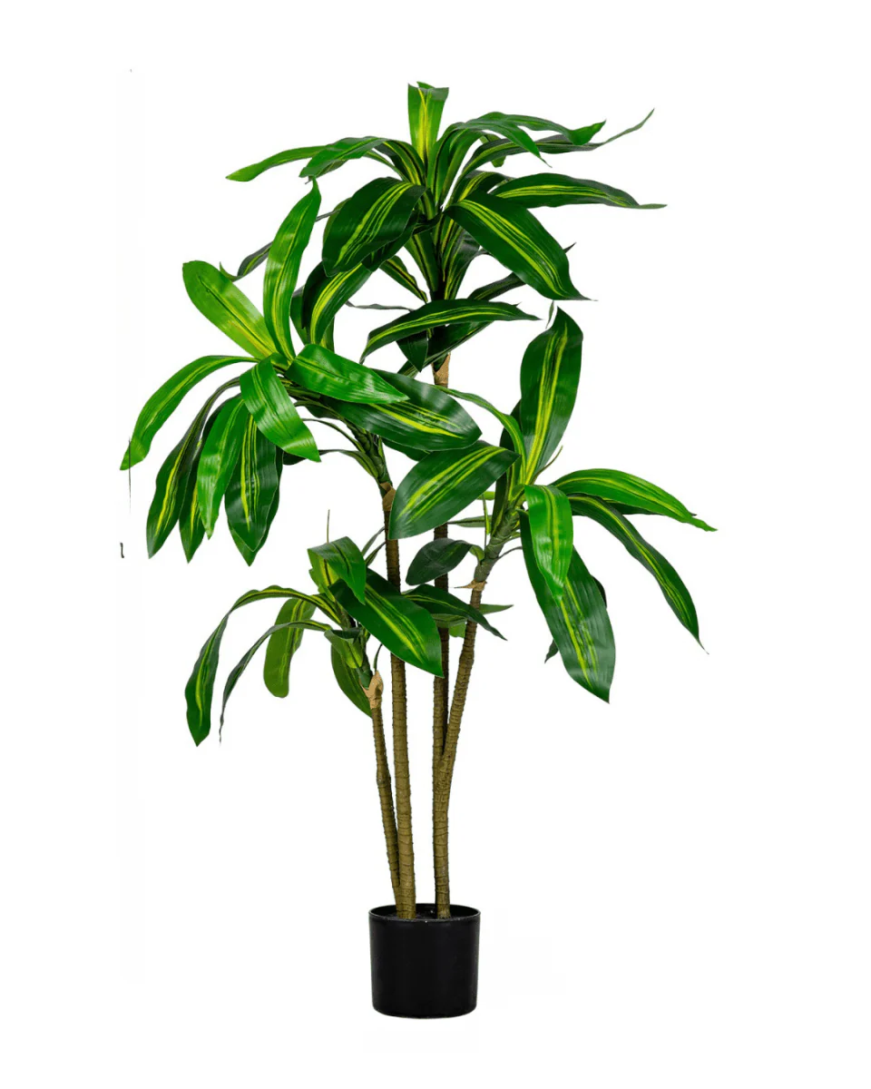 Brazil Iron Tree (Life-life Artificial) - Image 6