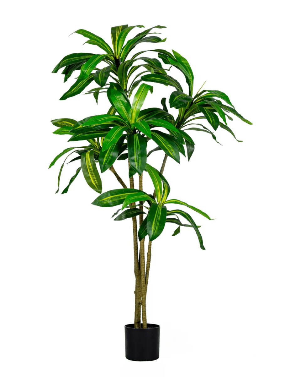 Brazil Iron Tree (Life-life Artificial) - Image 7
