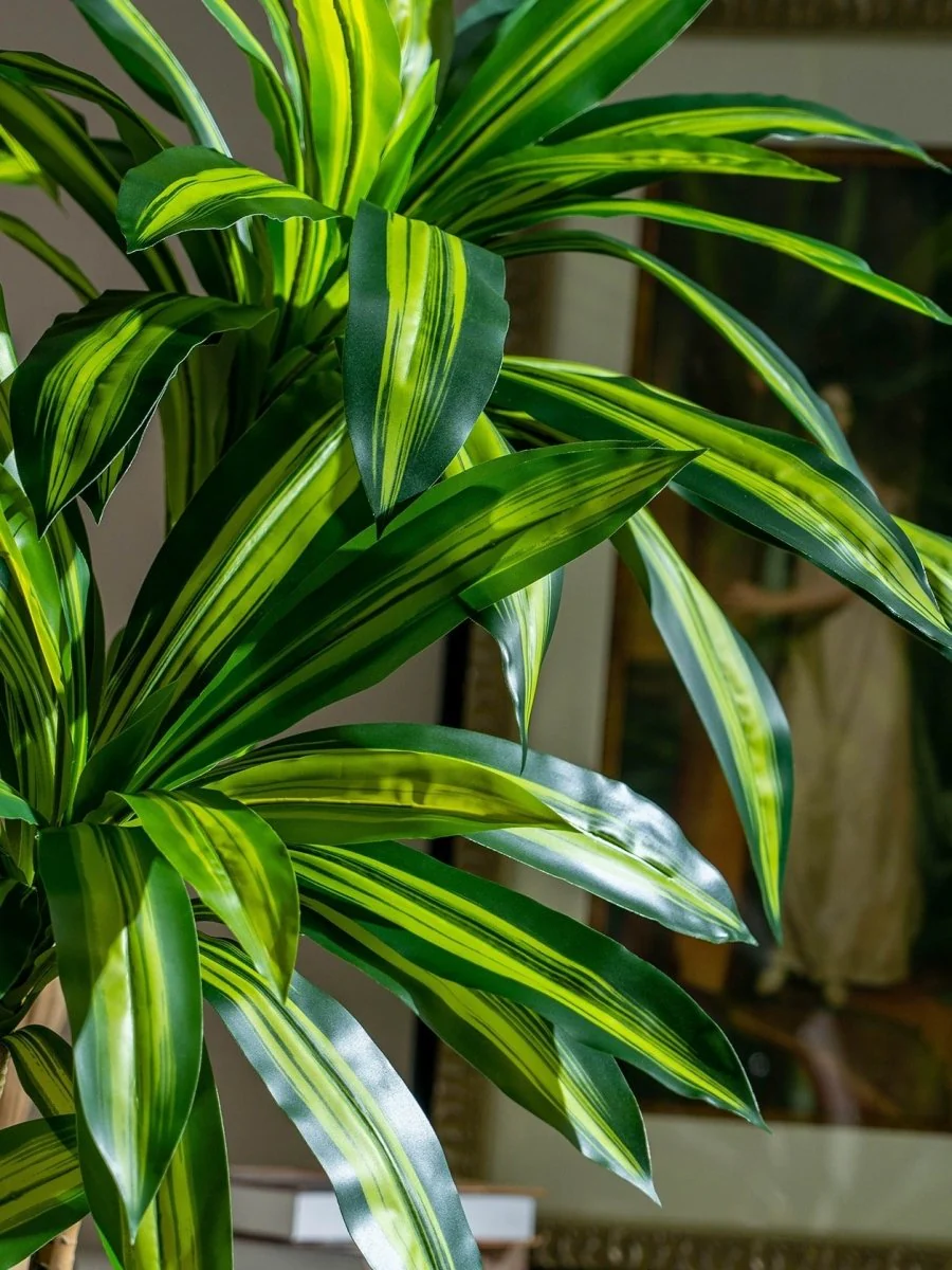 Brazil Iron Tree (Life-life Artificial) - Image 8