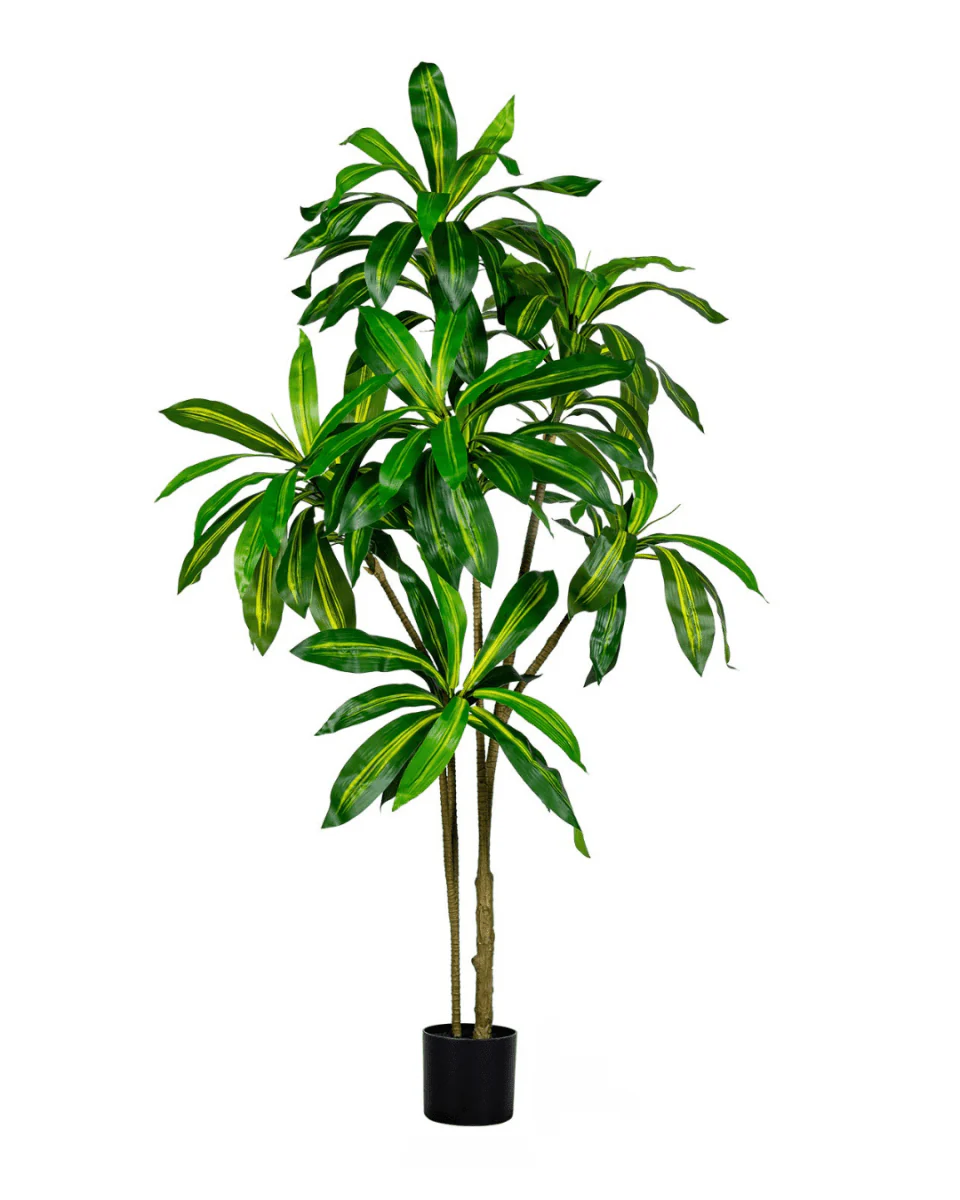 Brazil Iron Tree (Life-life Artificial) - Image 9