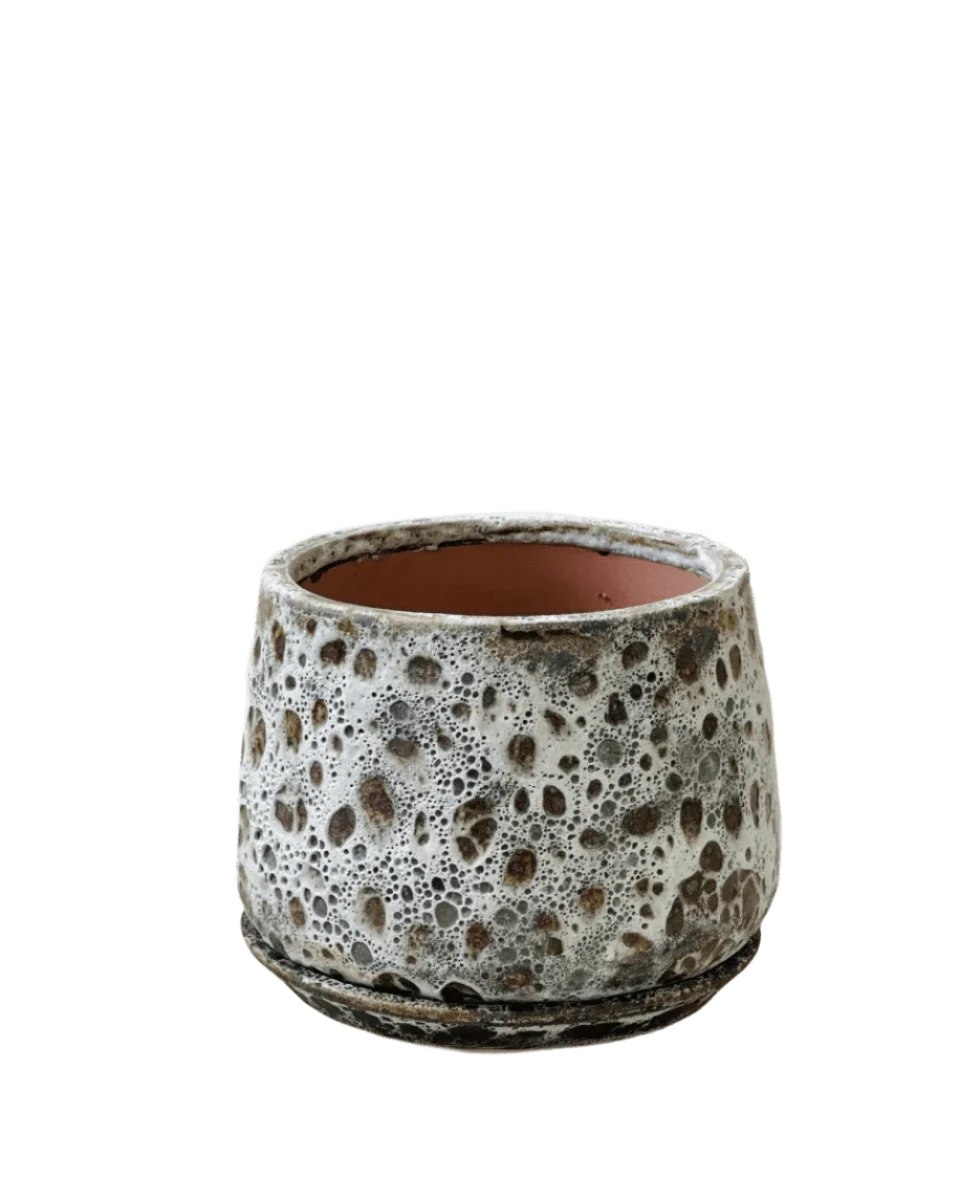 Brown Moon Pot - Large - Image 13