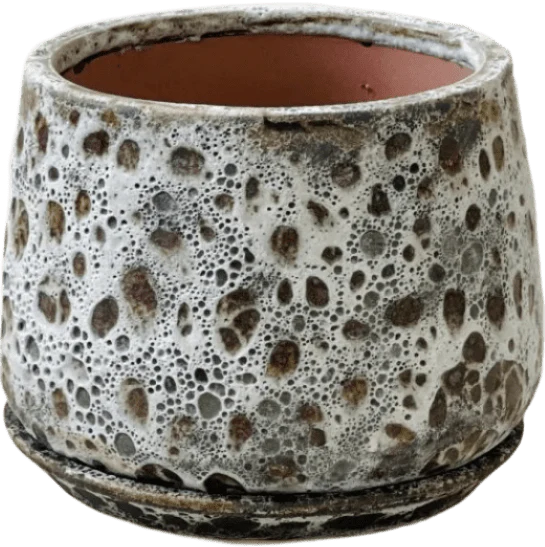 Brown Moon Pot - Large - Image 14