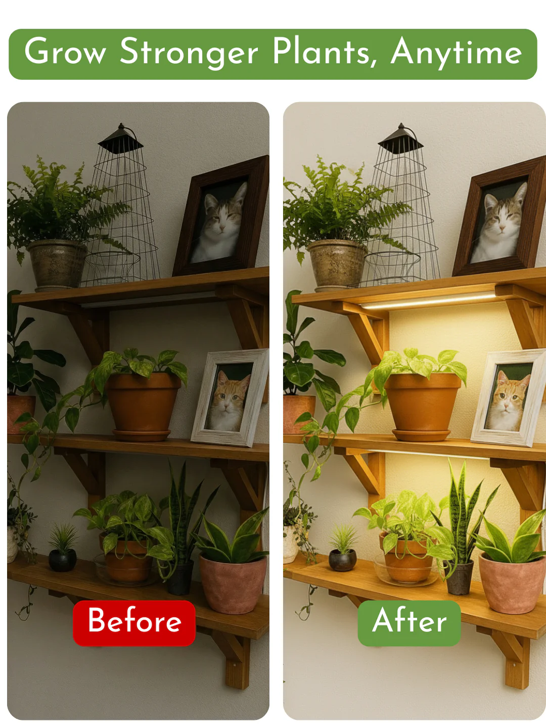CANOPY LED Grow Light - Image 3