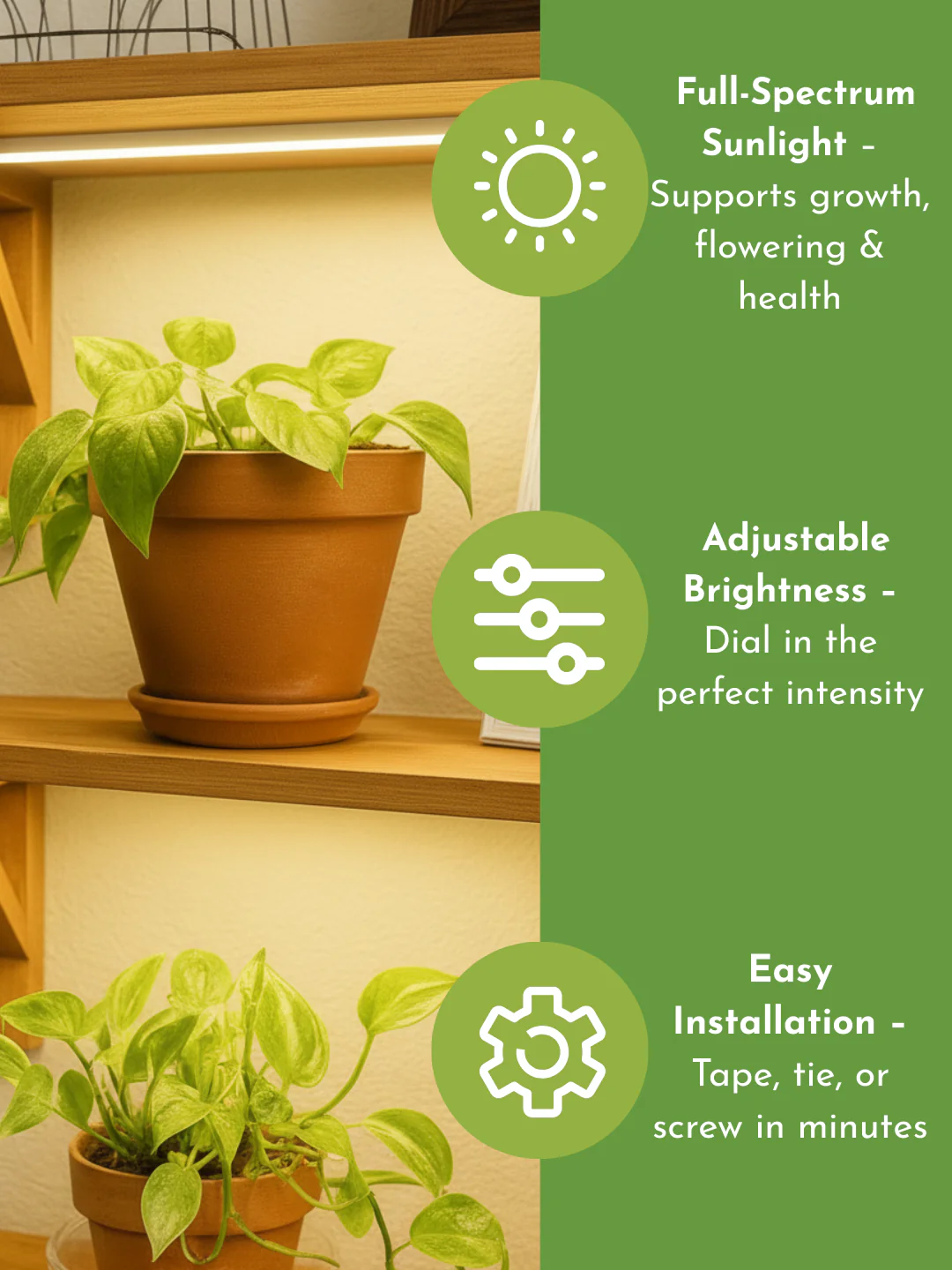 CANOPY LED Grow Light - Image 4