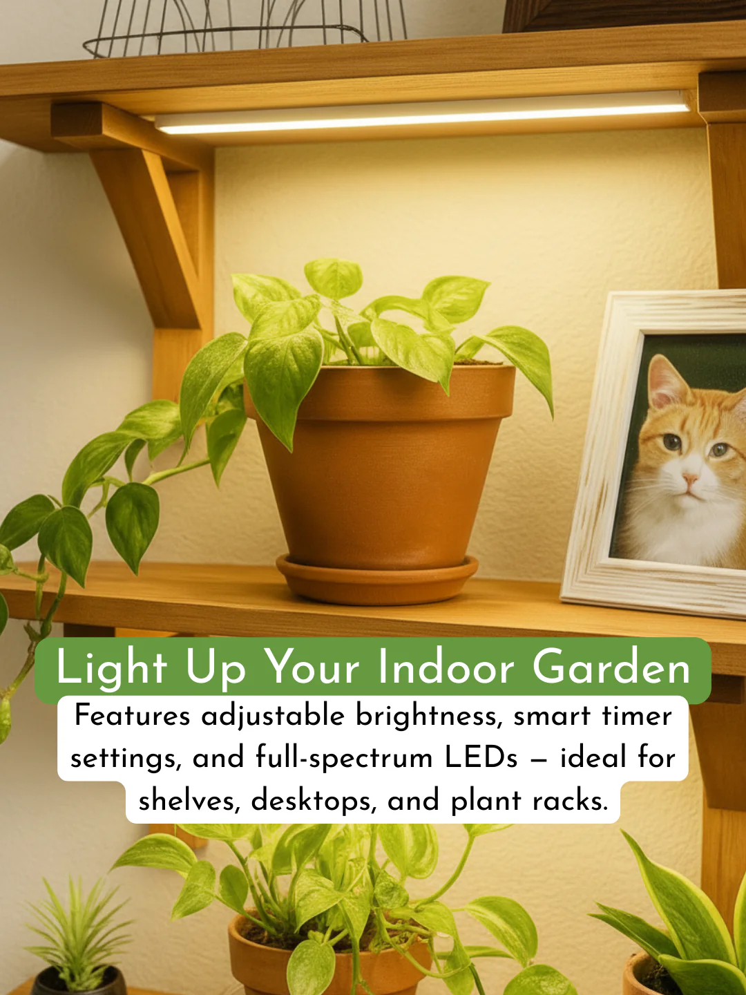 CANOPY LED Grow Light - Image 5