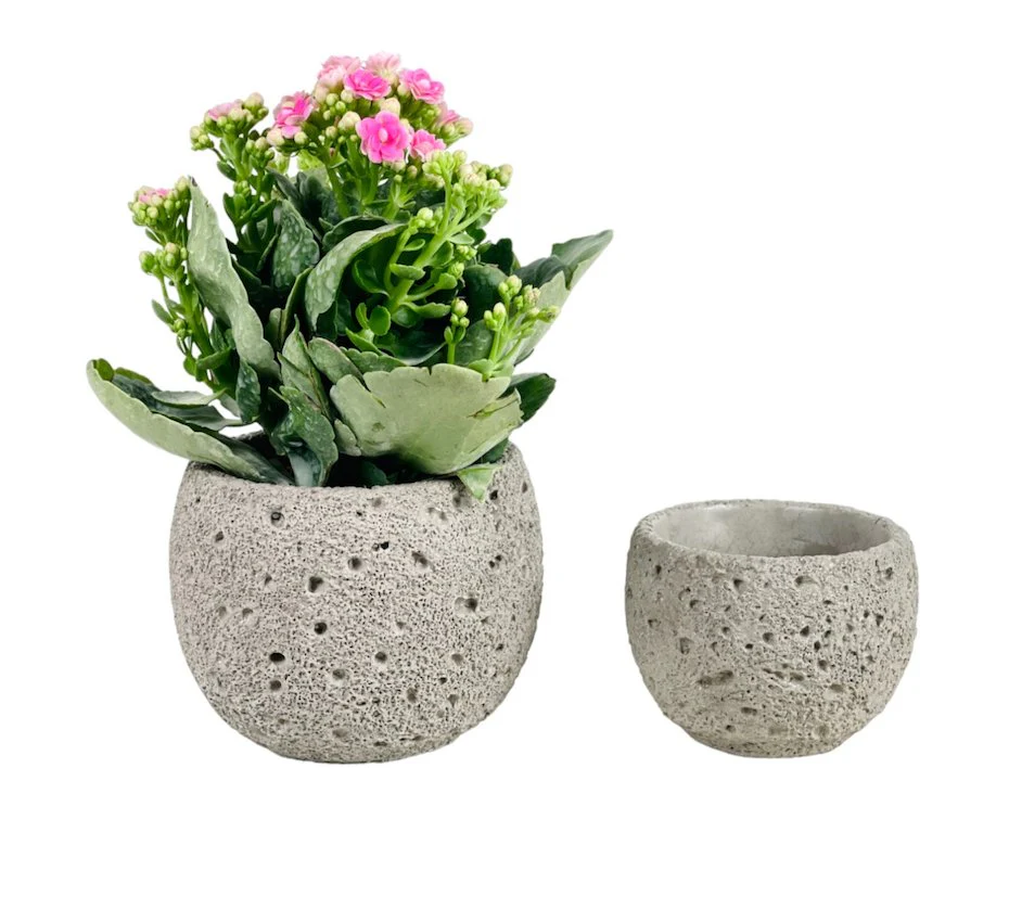 Cement Planter - Round - Image 2