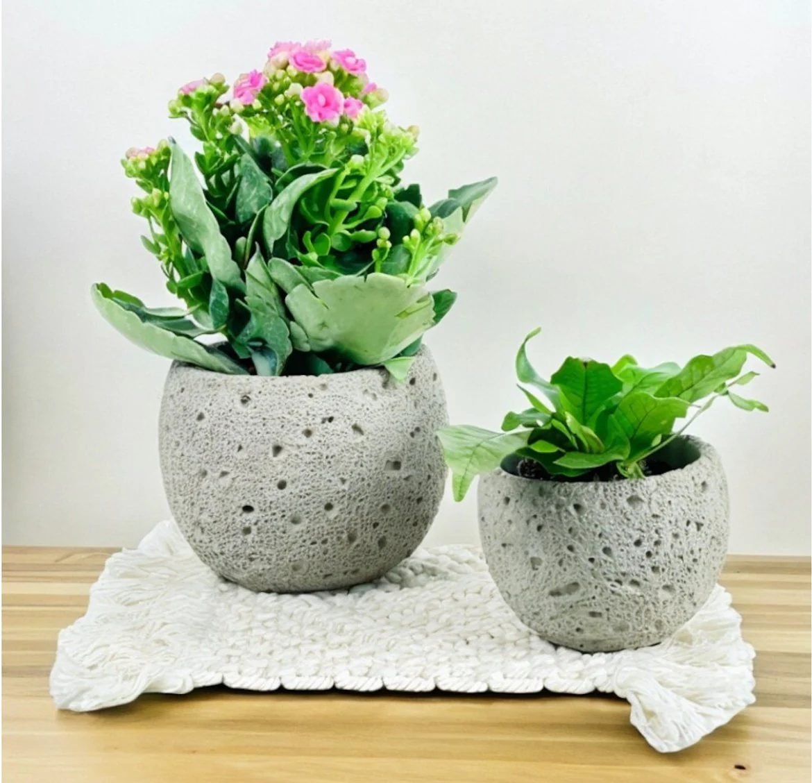 Cement Planter - Round - Image 5