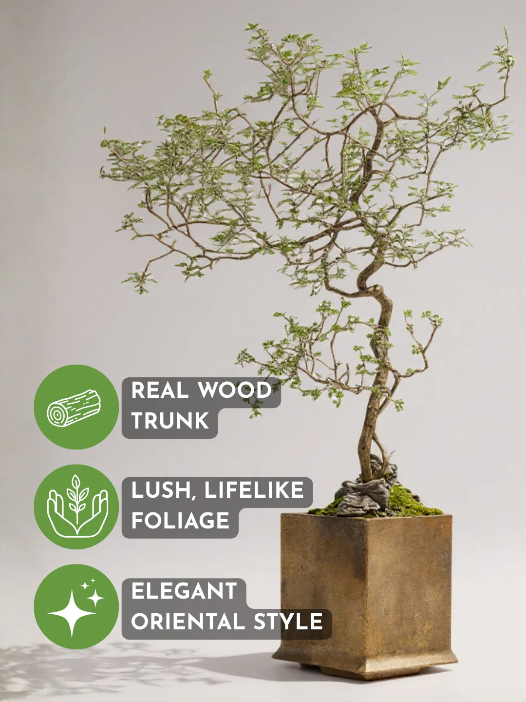Chaste Tree - Real-Trunk Artificial - Image 4