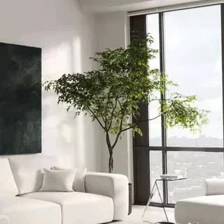 China Doll Tree - Real-Trunk Artificial - Image 13
