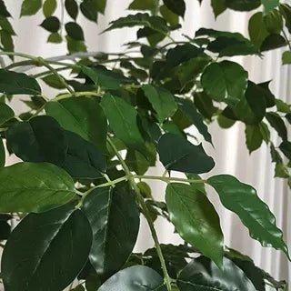 China Doll Tree - Real-Trunk Artificial - Image 9