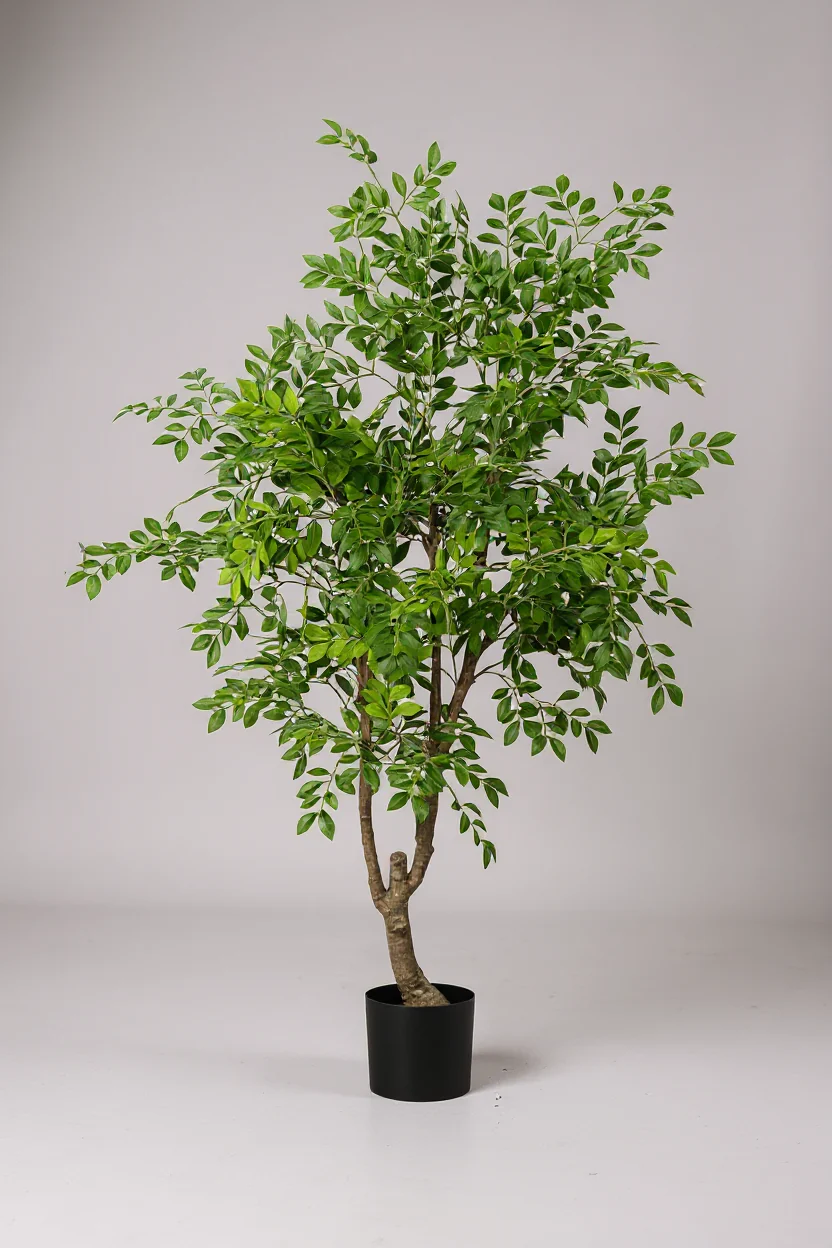 Chinese Money Tree (Life-like Artificial) - Image 10