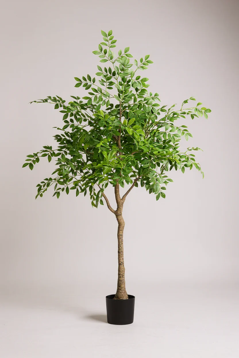 Chinese Money Tree (Life-like Artificial) - Image 11