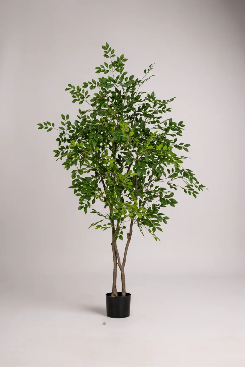 Chinese Money Tree (Life-like Artificial) - Image 13
