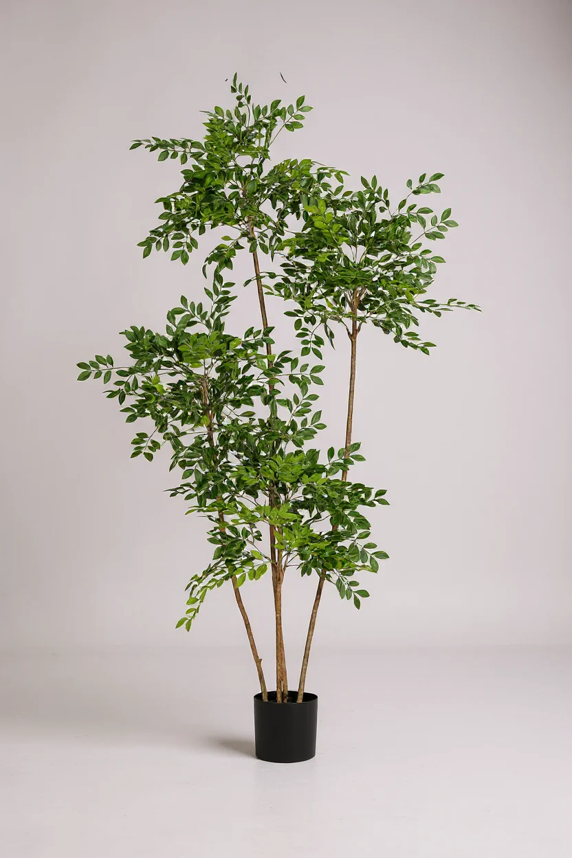 Chinese Money Tree (Life-like Artificial) - Image 15