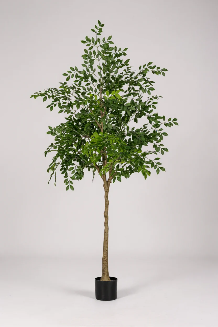 Chinese Money Tree (Life-like Artificial) - Image 18