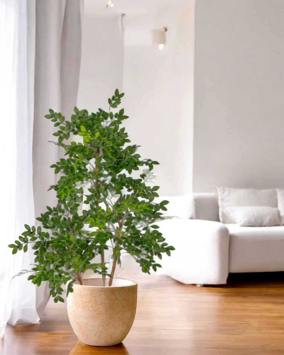 Chinese Money Tree (Life-like Artificial) - Image 20
