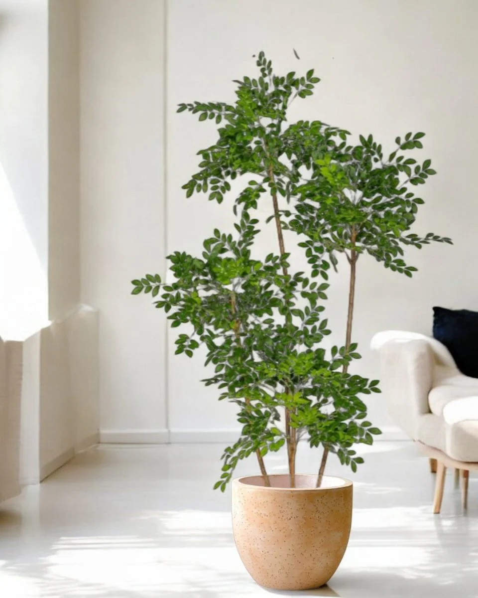 Chinese Money Tree (Life-like Artificial) - Image 21