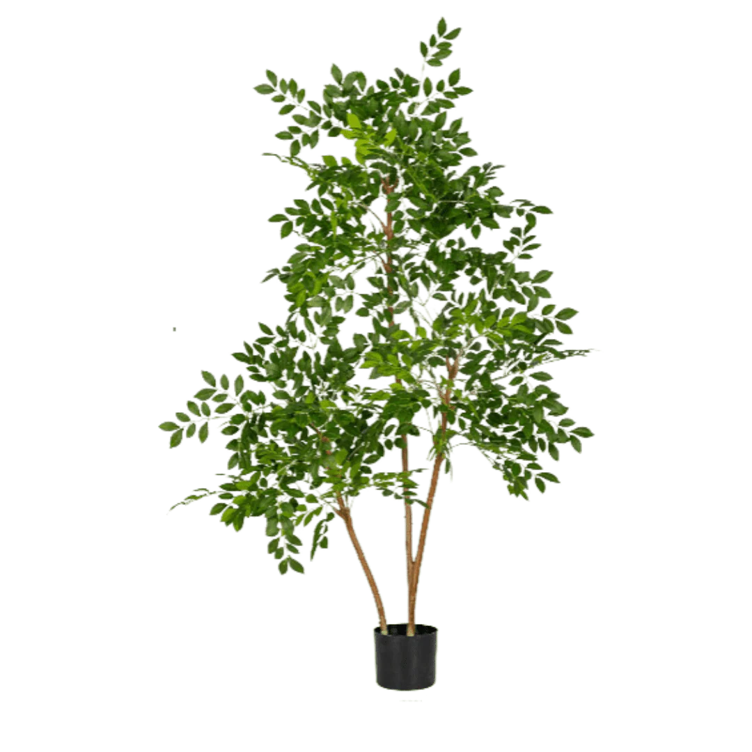 Chinese Money Tree (Life-like Artificial) - Image 24