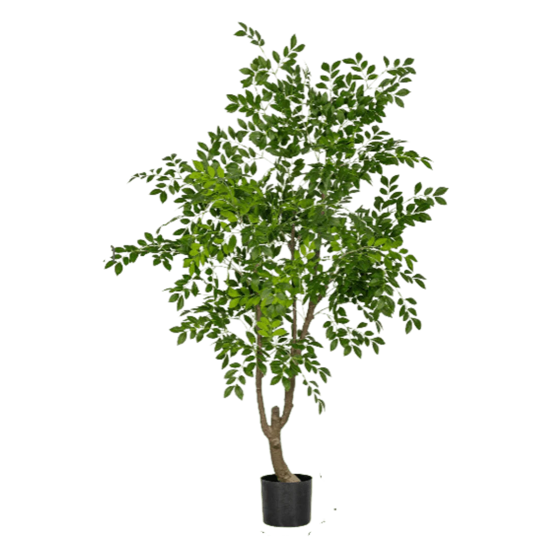 Chinese Money Tree (Life-like Artificial) - Image 25