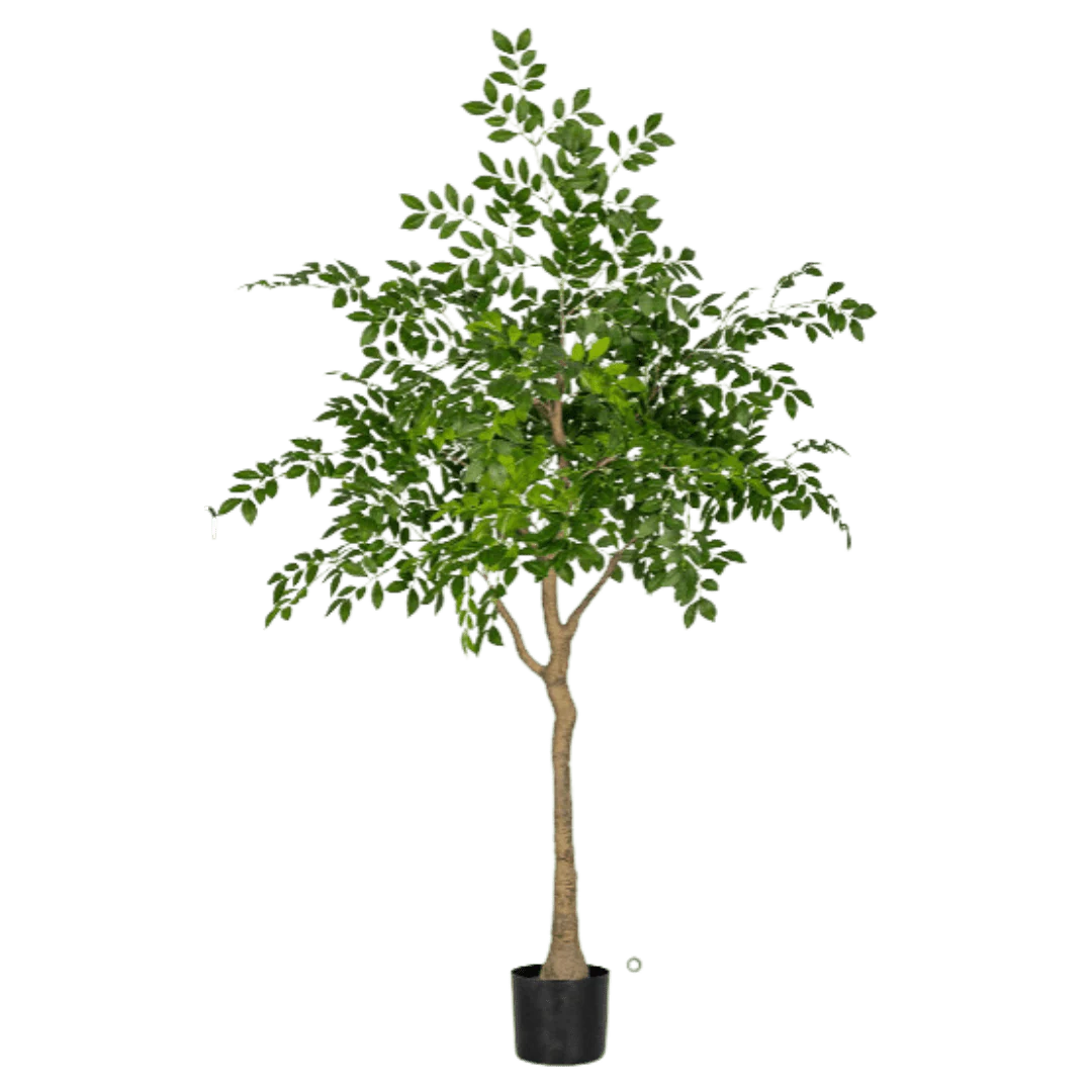 Chinese Money Tree (Life-like Artificial) - Image 27
