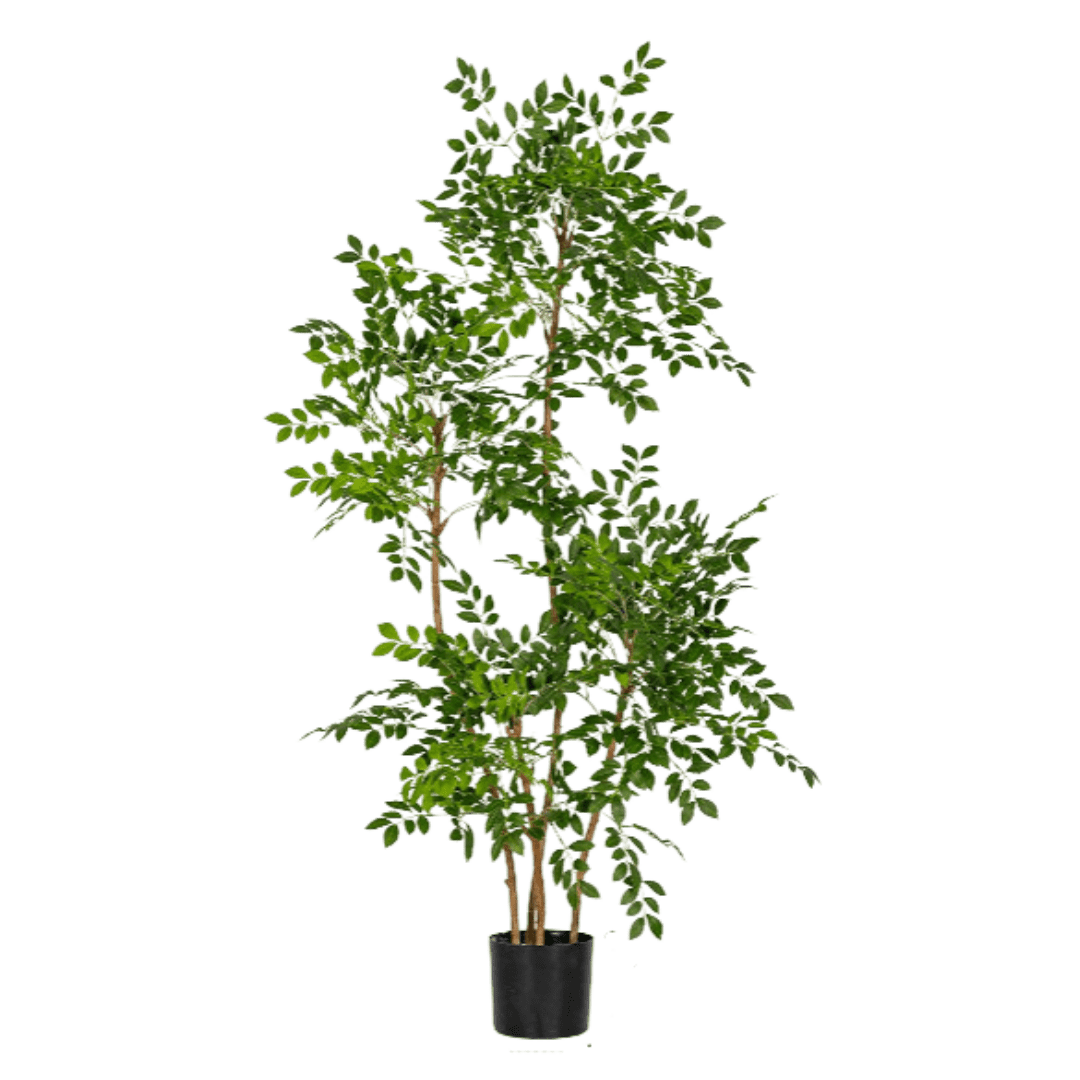 Chinese Money Tree (Life-like Artificial) - Image 29