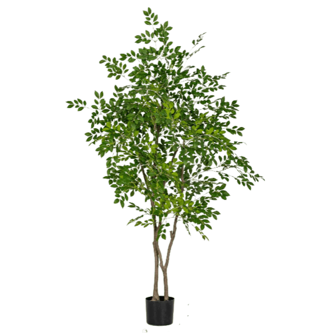 Chinese Money Tree (Life-like Artificial) - Image 33
