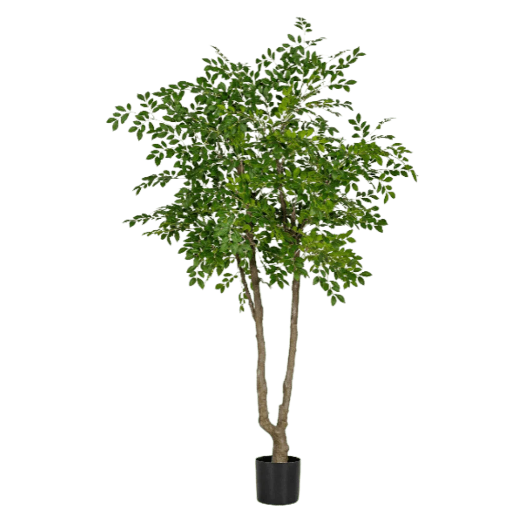 Chinese Money Tree (Life-like Artificial) - Image 35