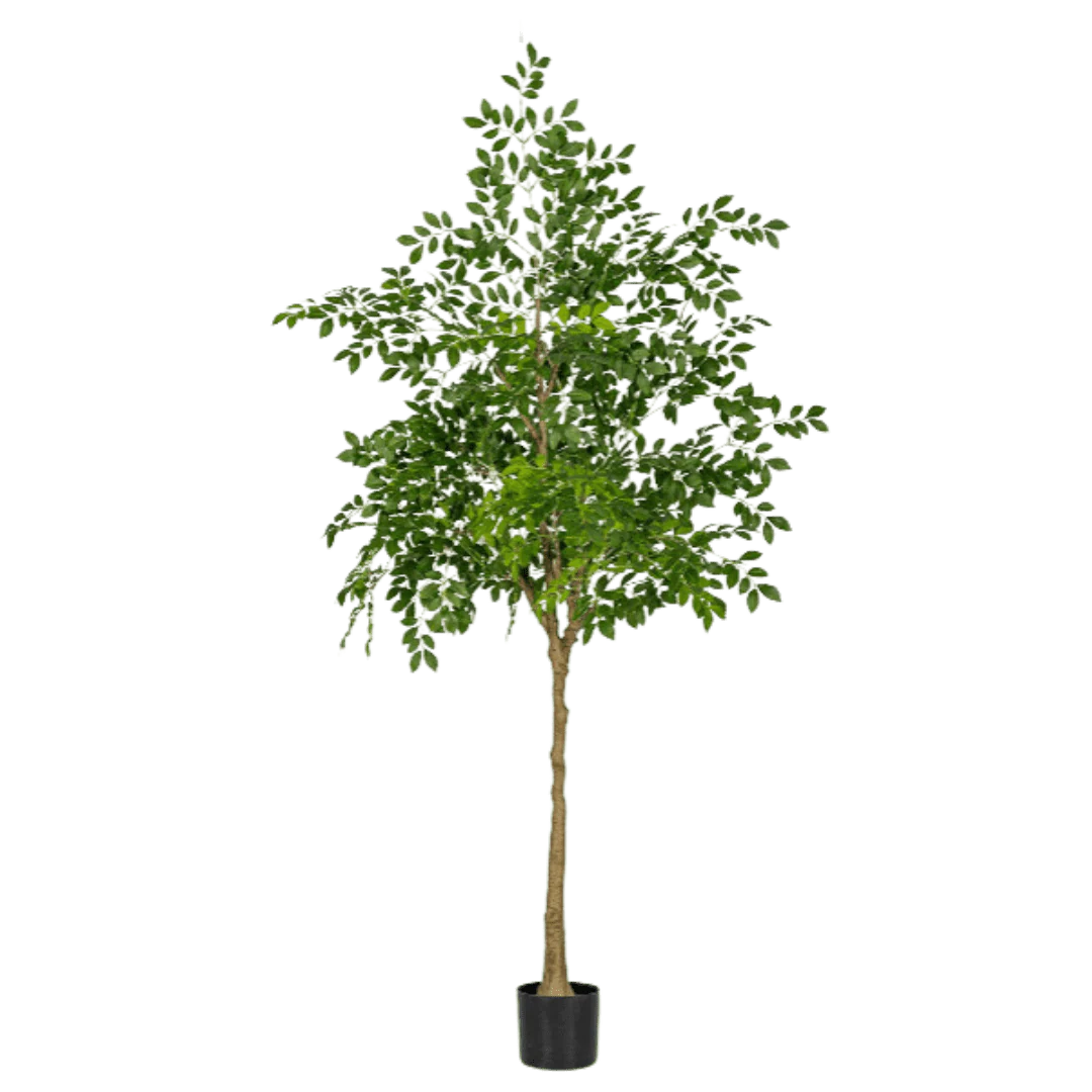 Chinese Money Tree (Life-like Artificial) - Image 37