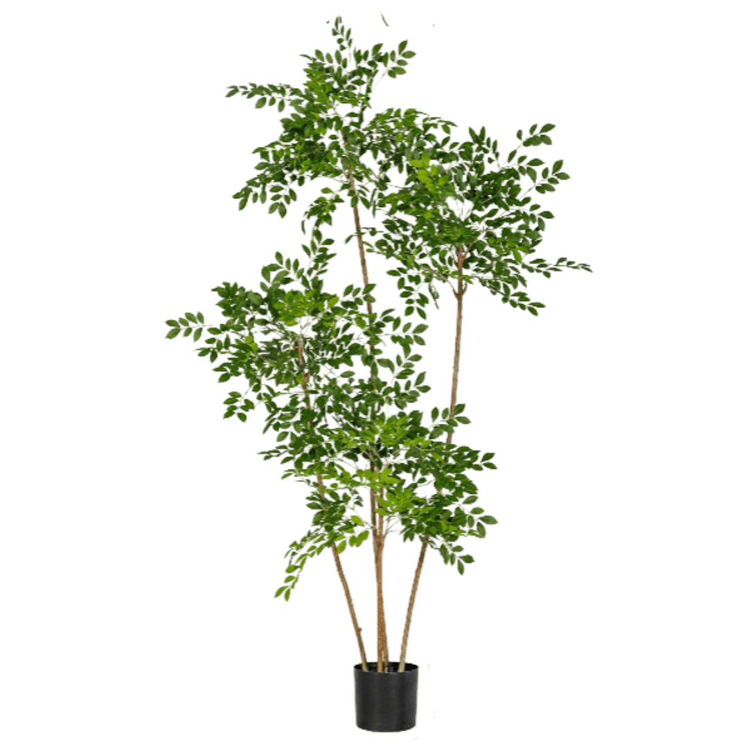 Chinese Money Tree (Life-like Artificial) - Image 39