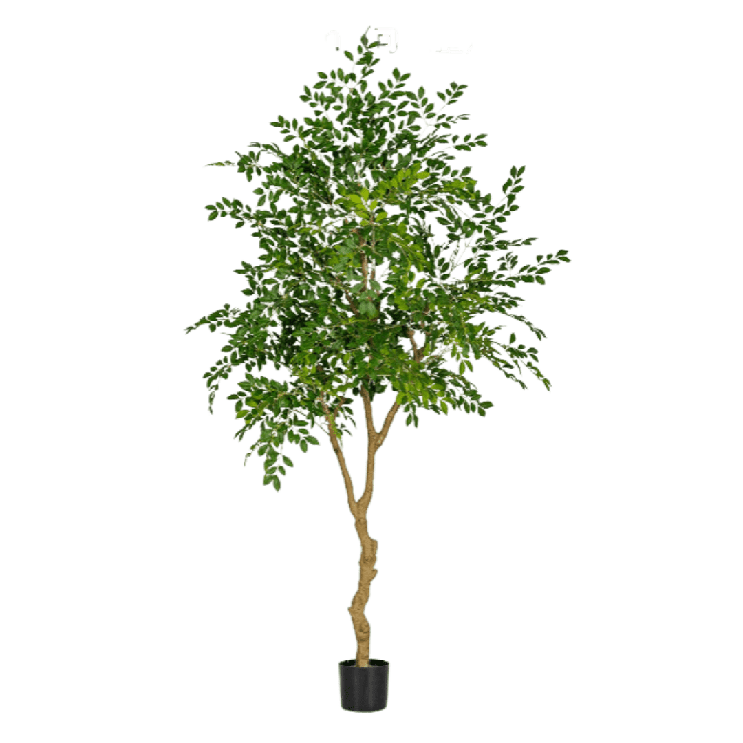 Chinese Money Tree (Life-like Artificial) - Image 41