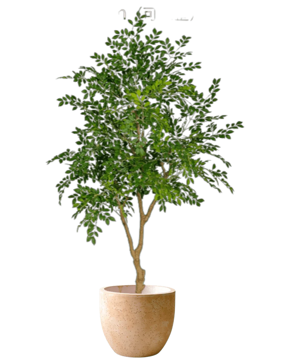 Chinese Money Tree (Life-like Artificial) - Image 42