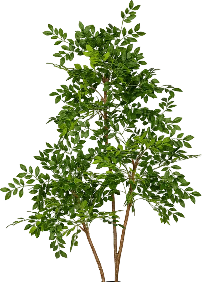 Chinese Money Tree (Life-like Artificial) - Image 43