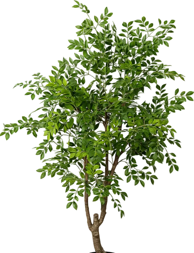 Chinese Money Tree (Life-like Artificial) - Image 44