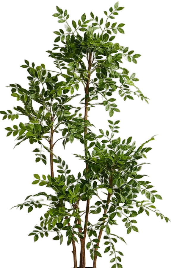 Chinese Money Tree (Life-like Artificial) - Image 46