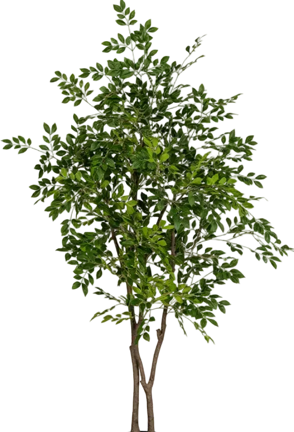 Chinese Money Tree (Life-like Artificial) - Image 48