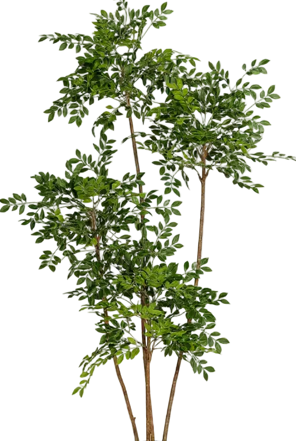 Chinese Money Tree (Life-like Artificial) - Image 51