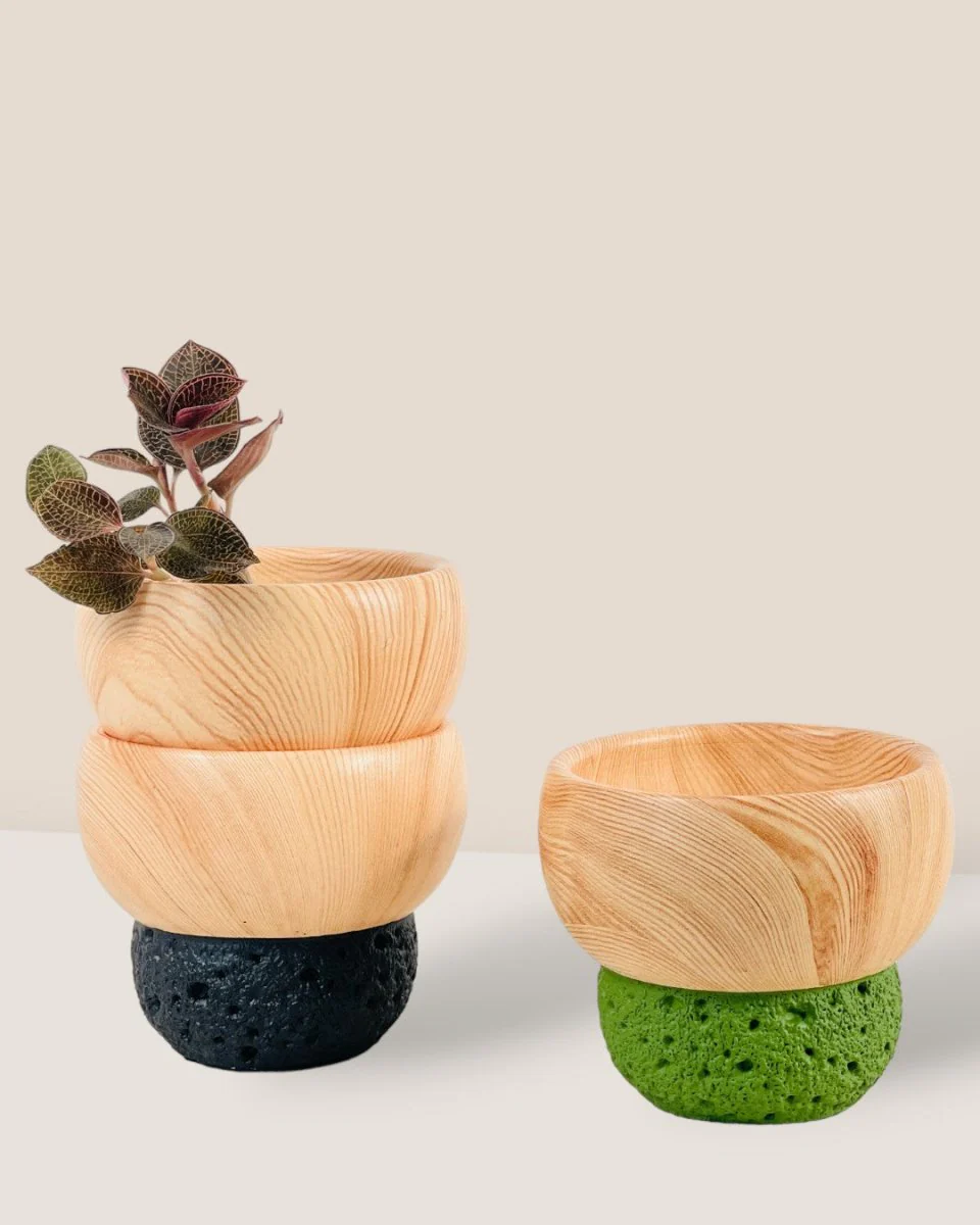 Chloe Planter - Image 3